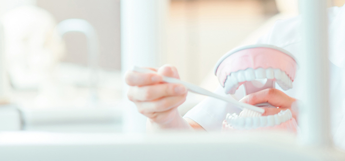 衛生士による虫歯・歯周病予防の細やかな指導